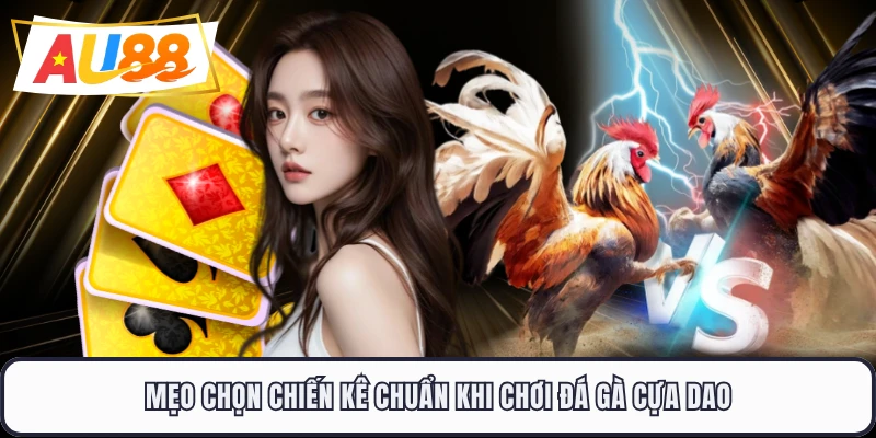 Mẹo chọn chiến kê chuẩn khi chơi đá gà cựa dao