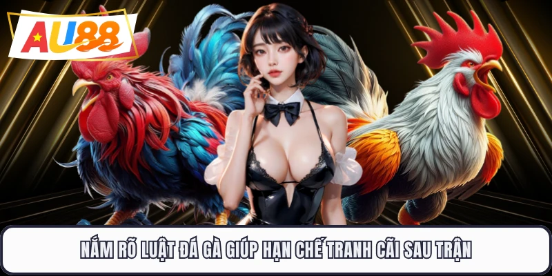 Nắm rõ luật đá gà giúp hạn chế tranh cãi sau trận
