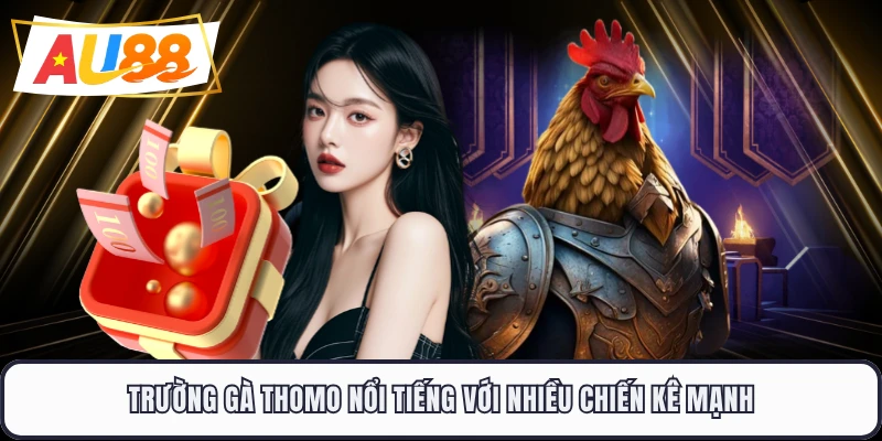 Trường gà Thomo nổi tiếng với nhiều chiến kê mạnh