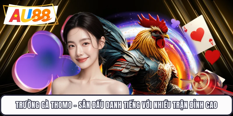 Trường Gà Thomo - Sân Đấu Danh Tiếng Với Nhiều Trận Đỉnh Cao